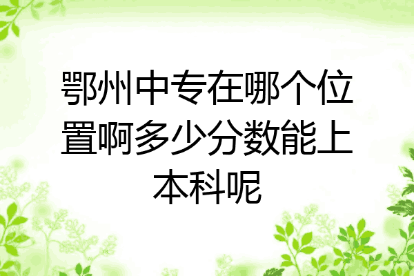鄂州中专在哪个位置啊多少分数能上本科呢