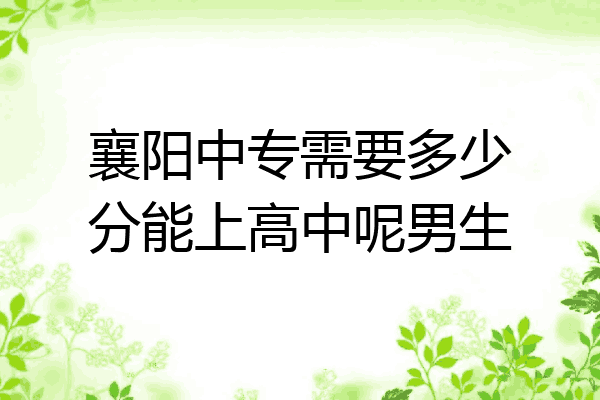 襄阳中专需要多少分能上高中呢男生