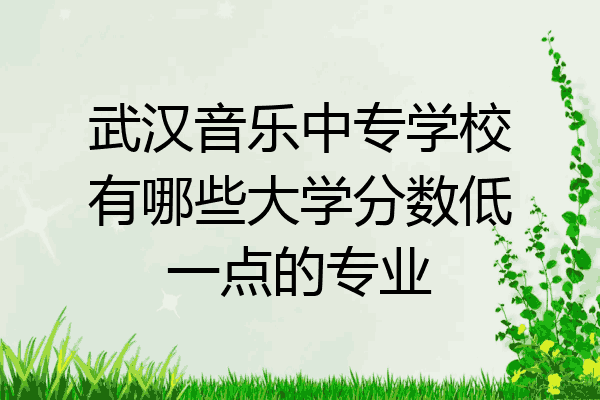 武汉音乐中专学校有哪些大学分数低一点的专业