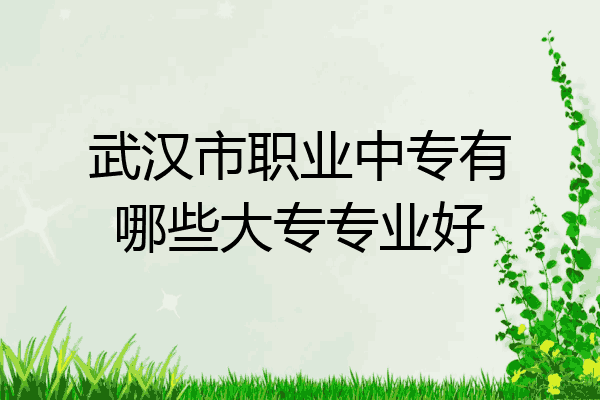 武汉市职业中专有哪些大专专业好