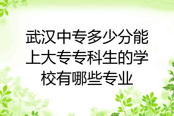 武汉中专多少分能上大专专科生的学校有哪些专业