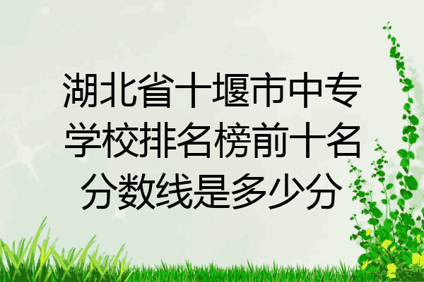 湖北省十堰市中专学校排名榜前十名分数线是多少分