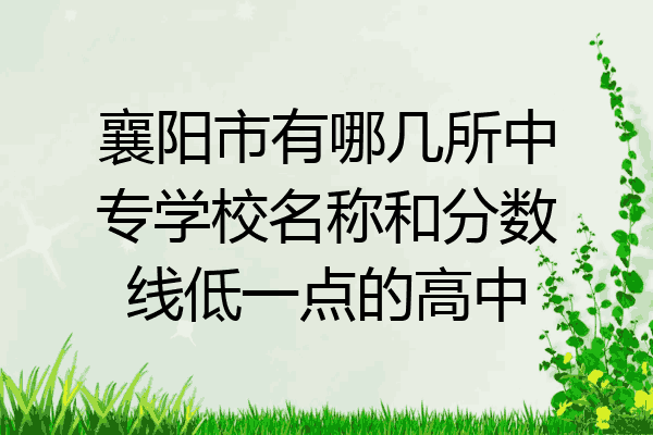 襄阳市有哪几所中专学校名称和分数线低一点的高中
