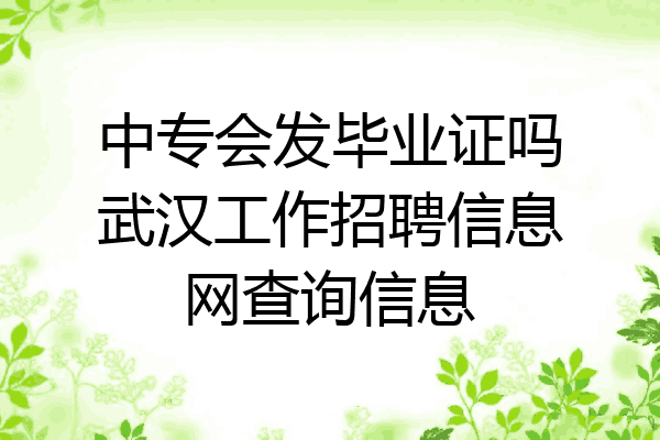 中专会发毕业证吗武汉工作招聘信息网查询信息