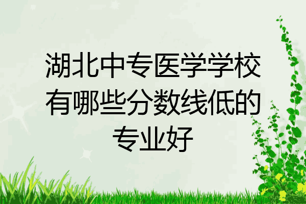 湖北中专医学学校有哪些分数线低的专业好