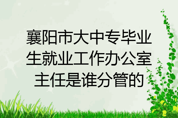 襄阳市大中专毕业生就业工作办公室主任是谁分管的