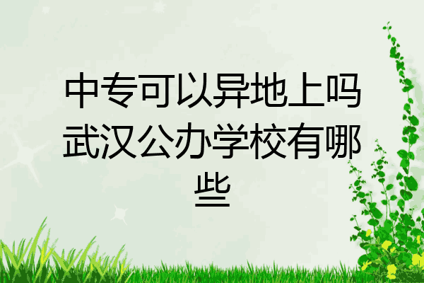 中专可以异地上吗武汉公办学校有哪些