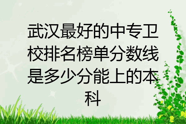 武汉最好的中专卫校排名榜单分数线是多少分能上的本科