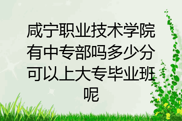 咸宁职业技术学院有中专部吗多少分可以上大专毕业班呢