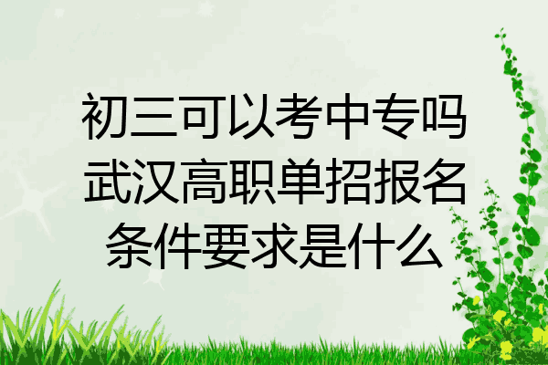 初三可以考中专吗武汉高职单招报名条件要求是什么