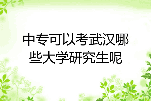 中专可以考武汉哪些大学研究生呢