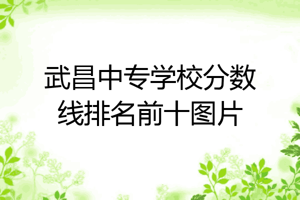 武昌中专学校分数线排名前十图片