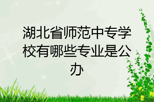 湖北省师范中专学校有哪些专业是公办