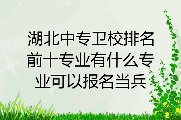 湖北中专卫校排名前十专业有什么专业可以报名当兵