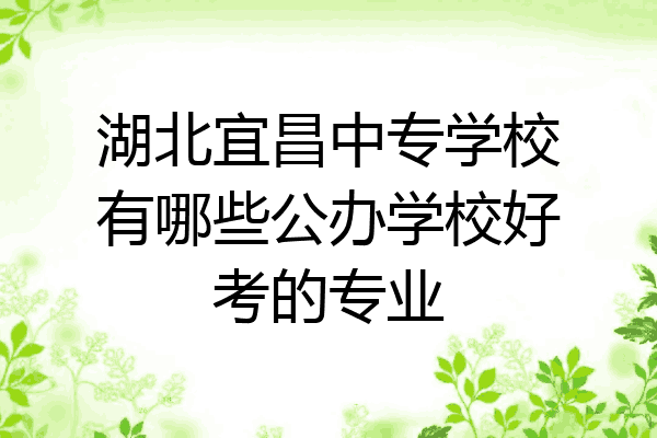 湖北宜昌中专学校有哪些公办学校好考的专业