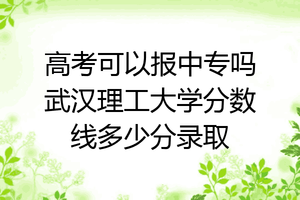 高考可以报中专吗武汉理工大学分数线多少分录取