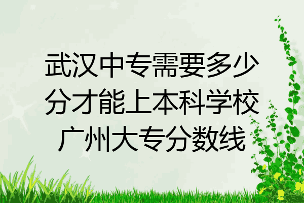 武汉中专需要多少分才能上本科学校广州大专分数线