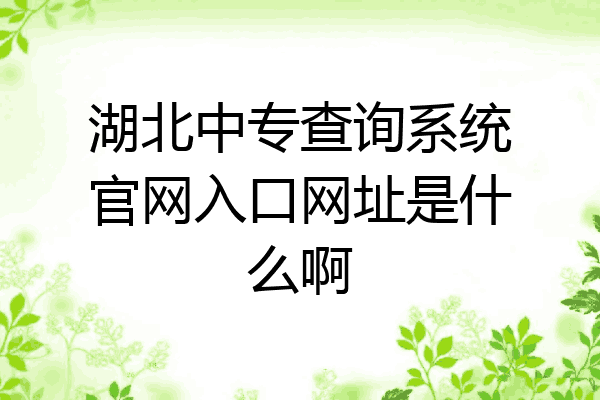 湖北中专查询系统官网入口网址是什么啊