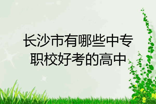 长沙市有哪些中专职校好考的高中