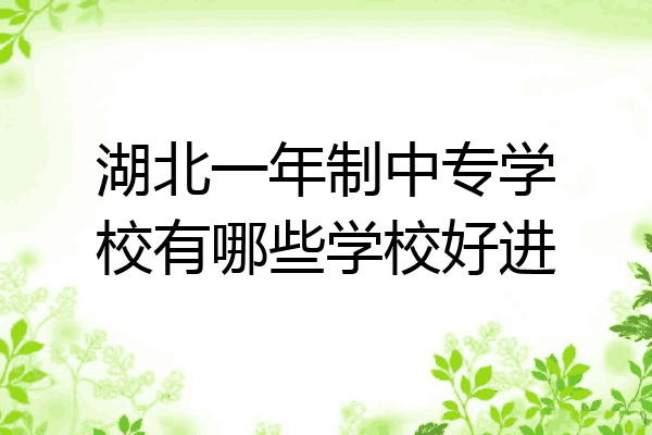湖北一年制中专学校有哪些学校好进