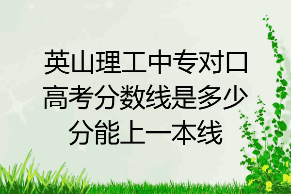 英山理工中专对口高考分数线是多少分能上一本线