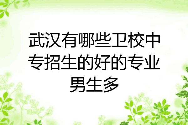 武汉有哪些卫校中专招生的好的专业男生多