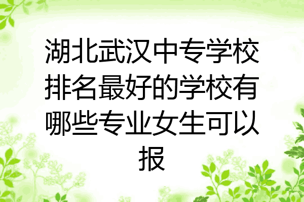 湖北武汉中专学校排名最好的学校有哪些专业女生可以报