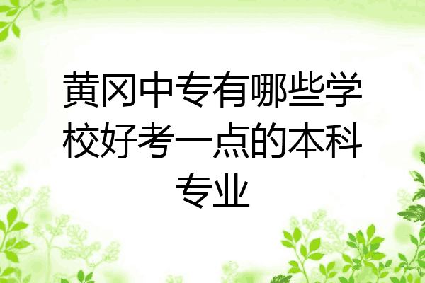 黄冈中专有哪些学校好考一点的本科专业