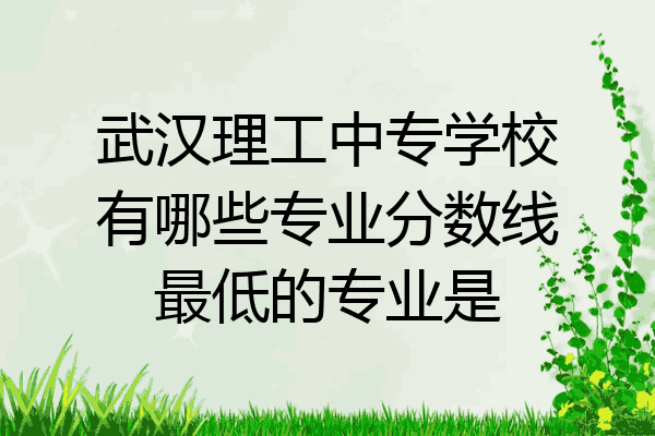 武汉理工中专学校有哪些专业分数线最低的专业是