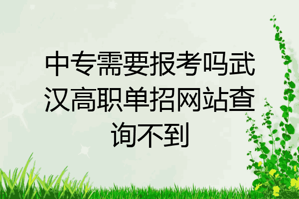 中专需要报考吗武汉高职单招网站查询不到