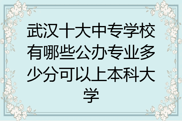 武汉十大中专学校有哪些公办专业多少分可以上本科大学