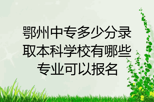 鄂州中专多少分录取本科学校有哪些专业可以报名