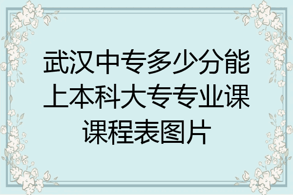 武汉中专多少分能上本科大专专业课课程表图片