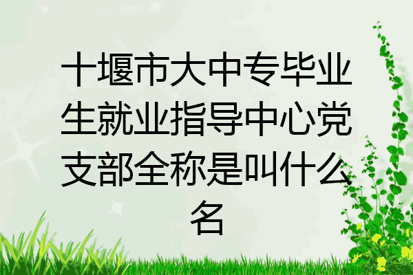 十堰市大中专毕业生就业指导中心党支部全称是叫什么名