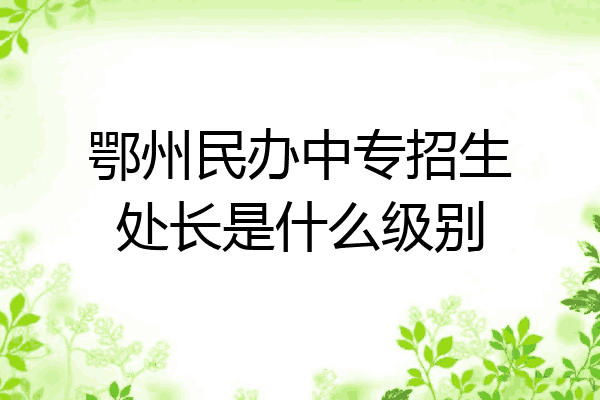 鄂州民办中专招生处长是什么级别