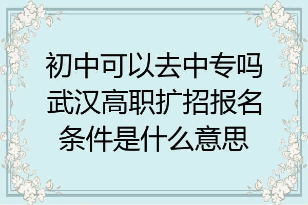 初中可以去中专吗武汉高职扩招报名条件是什么意思