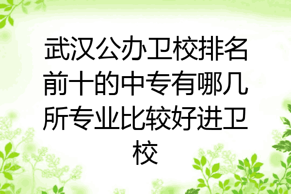 武汉公办卫校排名前十的中专有哪几所专业比较好进卫校