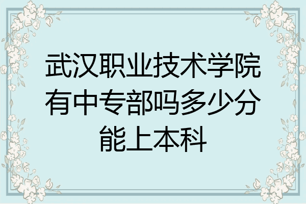 武汉职业技术学院有中专部吗多少分能上本科