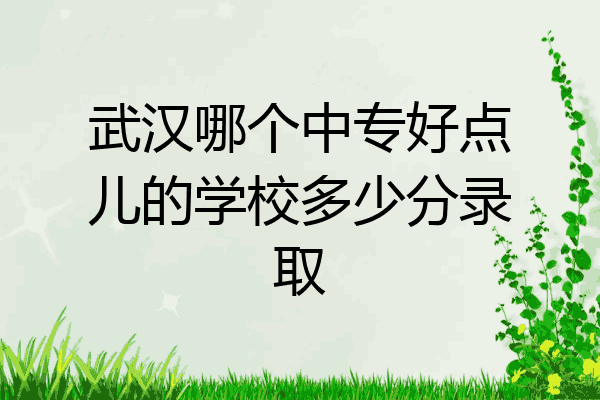 武汉哪个中专好点儿的学校多少分录取