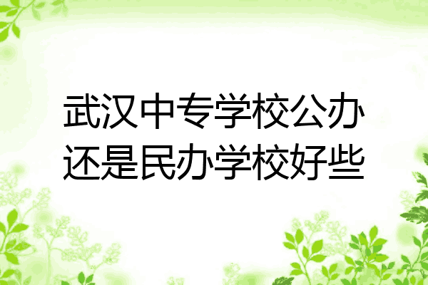 武汉中专学校公办还是民办学校好些