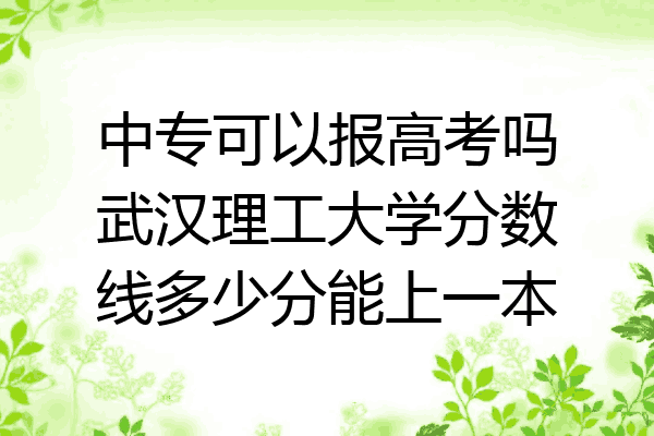 中专可以报高考吗武汉理工大学分数线多少分能上一本