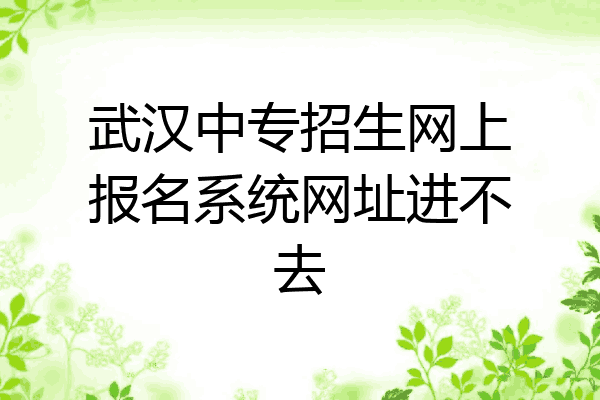 武汉中专招生网上报名系统网址进不去