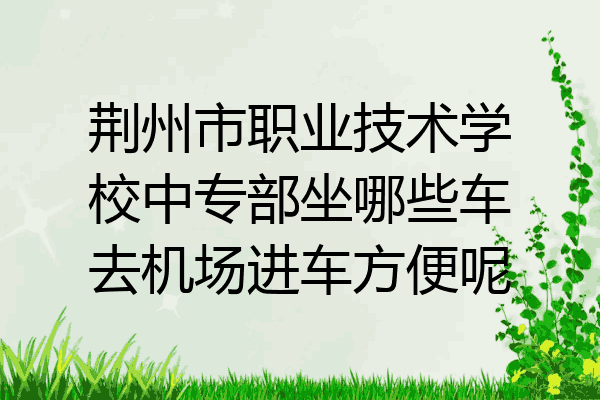 荆州市职业技术学校中专部坐哪些车去机场进车方便呢