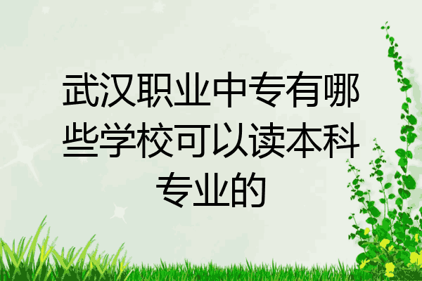 武汉职业中专有哪些学校可以读本科专业的