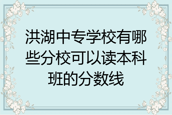 洪湖中专学校有哪些分校可以读本科班的分数线
