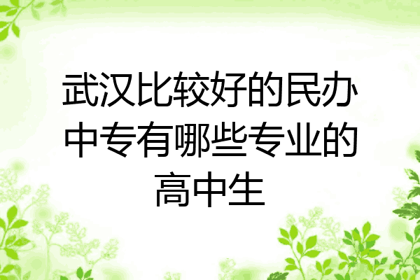 武汉比较好的民办中专有哪些专业的高中生