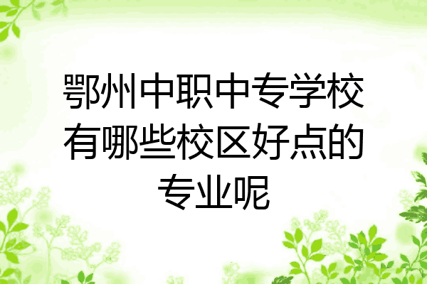 鄂州中职中专学校有哪些校区好点的专业呢