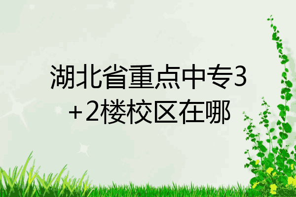 湖北省重点中专3+2楼校区在哪