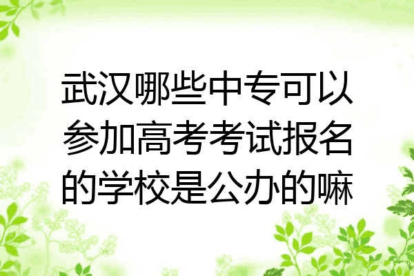 武汉哪些中专可以参加高考考试报名的学校是公办的嘛