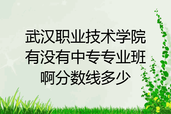 武汉职业技术学院有没有中专专业班啊分数线多少
